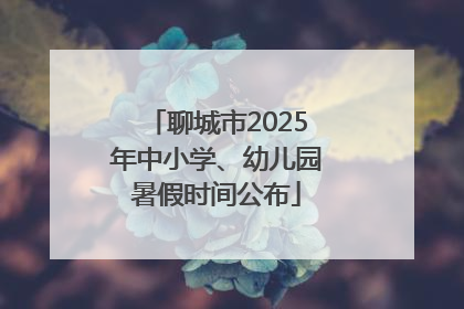 聊城市2025年中小学、幼儿园暑假时间公布