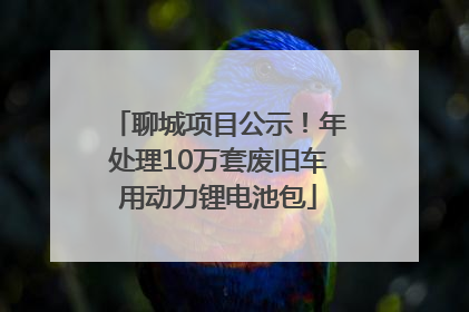 聊城项目公示！年处理10万套废旧车用动力锂电池包