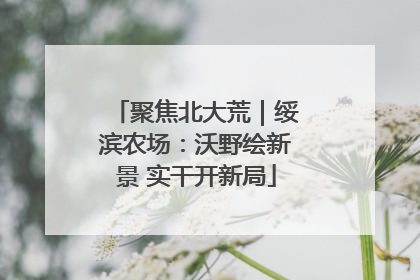 聚焦北大荒｜绥滨农场：沃野绘新景 实干开新局