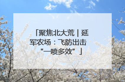 聚焦北大荒｜延军农场：飞防出击 “一喷多效”