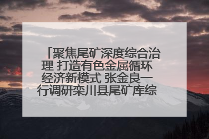 聚焦尾矿深度综合治理 打造有色金属循环经济新模式 张金良一行调研栾川县尾矿库综合治理工作
