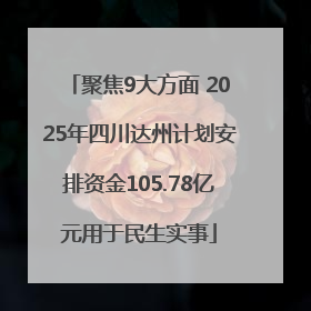 聚焦9大方面 2025年四川达州计划安排资金105.78亿元用于民生实事