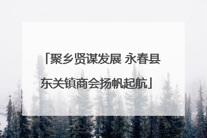 聚乡贤谋发展 永春县东关镇商会扬帆起航