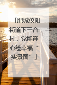 肥城仪阳街道下三合村：党群连心绘幸福“实景图”