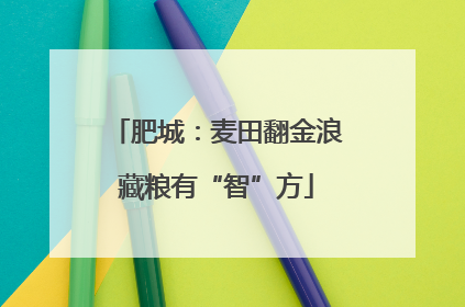 肥城：麦田翻金浪藏粮有“智”方