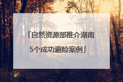 自然资源部推介湖南5个成功避险案例