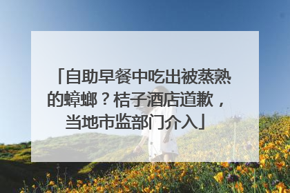 自助早餐中吃出被蒸熟的蟑螂？桔子酒店道歉，当地市监部门介入
