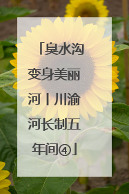 臭水沟变身美丽河丨川渝河长制五年间④