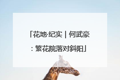 花地·纪实｜何武豪：繁花院落对斜阳