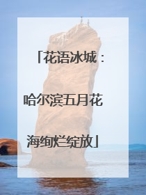 花语冰城：哈尔滨五月花海绚烂绽放