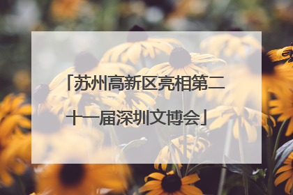 苏州高新区亮相第二十一届深圳文博会