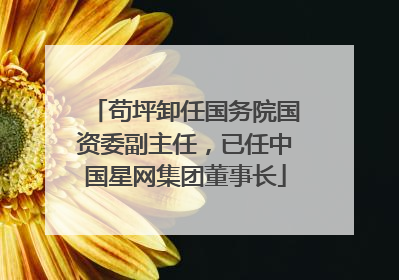 苟坪卸任国务院国资委副主任，已任中国星网集团董事长