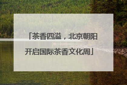 茶香四溢，北京朝阳开启国际茶香文化周