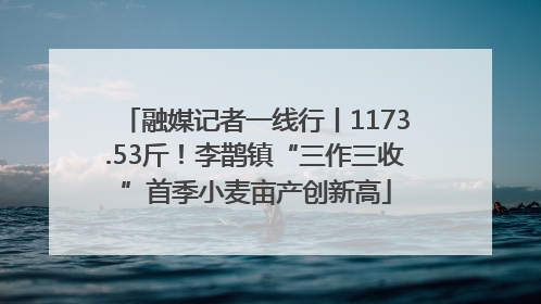 融媒记者一线行丨1173.53斤！李鹊镇“三作三收”首季小麦亩产创新高