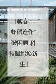 蕲春：“虾稻连作”破困局 科技赋能焕新生