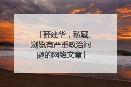 薛建华，私藏、浏览有严重政治问题的网络文章