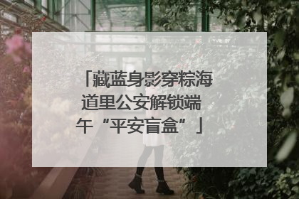 藏蓝身影穿粽海 道里公安解锁端午“平安盲盒”