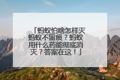 蚂蚁怕啥怎样灭蚂蚁不留痕？蚂蚁用什么药能彻底消灭？答案在这！