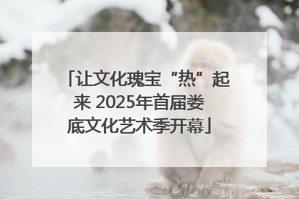 让文化瑰宝“热”起来 2025年首届娄底文化艺术季开幕