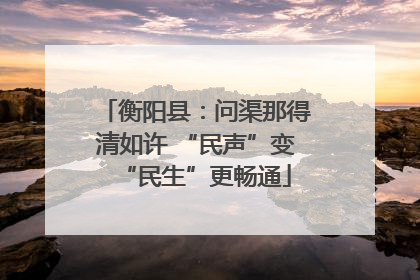 衡阳县：问渠那得清如许 “民声”变“民生”更畅通