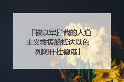 被以军拦截的人道主义救援船抵达以色列阿什杜德港