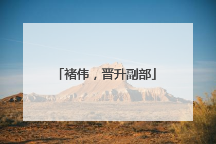 褚伟，晋升副部