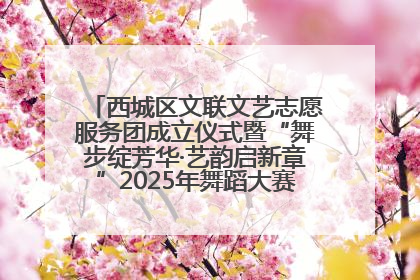 西城区文联文艺志愿服务团成立仪式暨“舞步绽芳华·艺韵启新章”2025年舞蹈大赛展演圆满举办