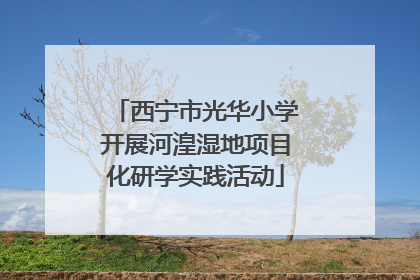西宁市光华小学开展河湟湿地项目化研学实践活动