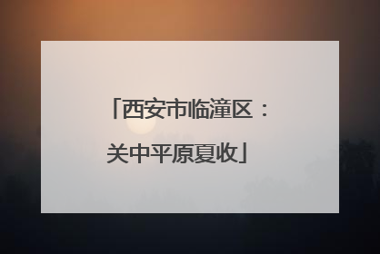 西安市临潼区：关中平原夏收
