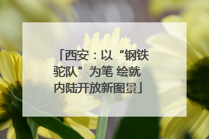 西安：以“钢铁驼队”为笔 绘就内陆开放新图景