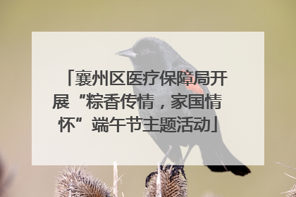 襄州区医疗保障局开展“粽香传情，家国情怀”端午节主题活动