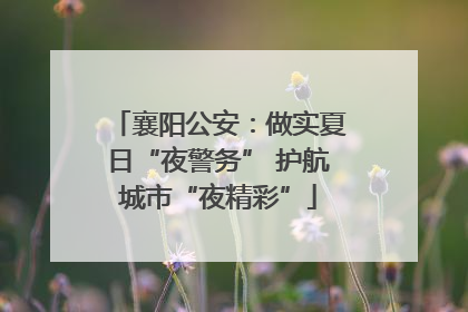 襄阳公安：做实夏日“夜警务” 护航城市“夜精彩”