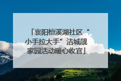 襄阳檀溪湖社区“小手拉大手”洁城靓家园活动暖心收官