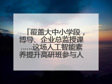 覆盖大中小学段，博导、企业总监授课……这场人工智能素养提升高研班参与人次达30万