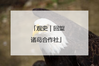 观史｜回望诸葛合作社