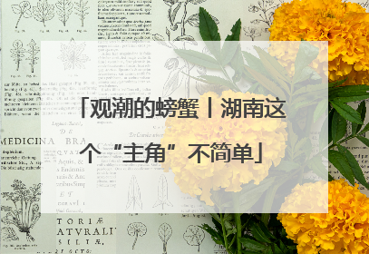 观潮的螃蟹丨湖南这个“主角”不简单