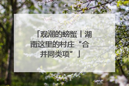 观潮的螃蟹丨湖南这里的村庄“合并同类项”