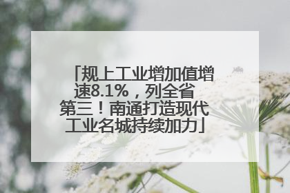 规上工业增加值增速8.1%，列全省第三！南通打造现代工业名城持续加力