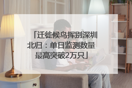 迁徙候鸟挥别深圳北归：单日监测数量最高突破2万只