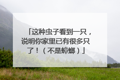 这种虫子看到一只，说明你家里已有很多只了！（不是蟑螂）