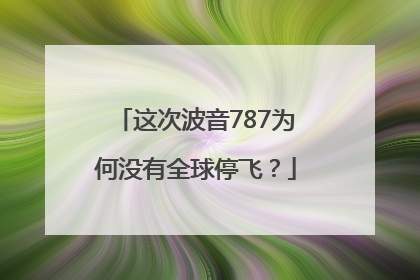 这次波音787为何没有全球停飞？