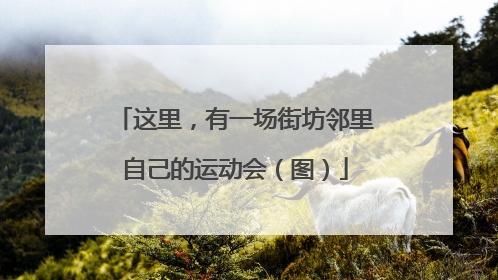 这里，有一场街坊邻里自己的运动会（图）