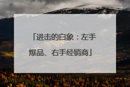 进击的白象：左手爆品、右手经销商