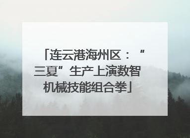 连云港海州区：“三夏”生产上演数智机械技能组合拳