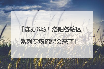 连办6场！洛阳各辖区系列专场招聘会来了