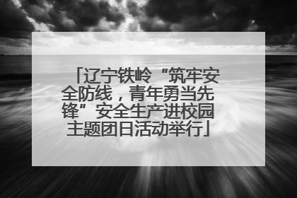 辽宁铁岭“筑牢安全防线，青年勇当先锋”安全生产进校园主题团日活动举行