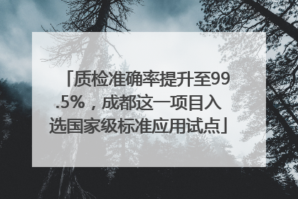 质检准确率提升至99.5%，成都这一项目入选国家级标准应用试点