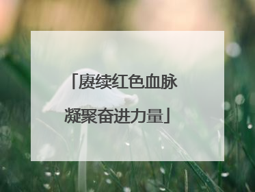 赓续红色血脉 凝聚奋进力量