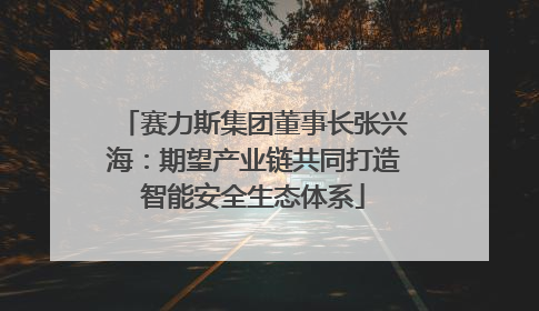 赛力斯集团董事长张兴海：期望产业链共同打造智能安全生态体系
