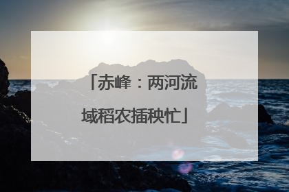 赤峰：两河流域稻农插秧忙